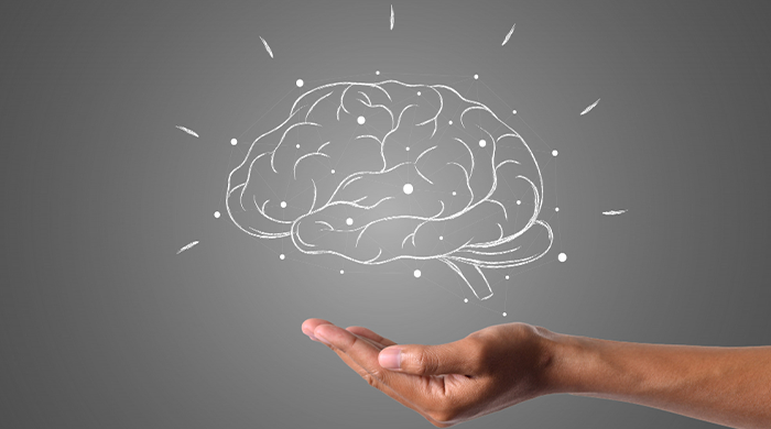 Formation en différenciation pédagogique et neurosciences